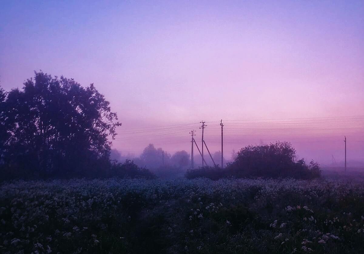 乐鱼体育下载：用指尖畅享精彩赛事，成就你的专属观赛新体验